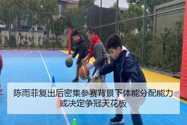 chen-yu-fei-fu-chu-hou-mi-ji-can-sai-bei-jing-xia-ti-neng-fen-pei-neng-li-huo-jue-ding-zheng-guan-tian-hua-ban-2-668.jpg